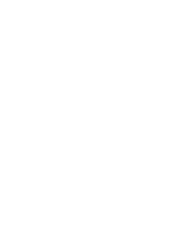 Logo_site_fabiany_bertaglia